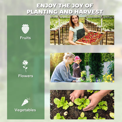 Garden growing fruits, flowers and vegetables
