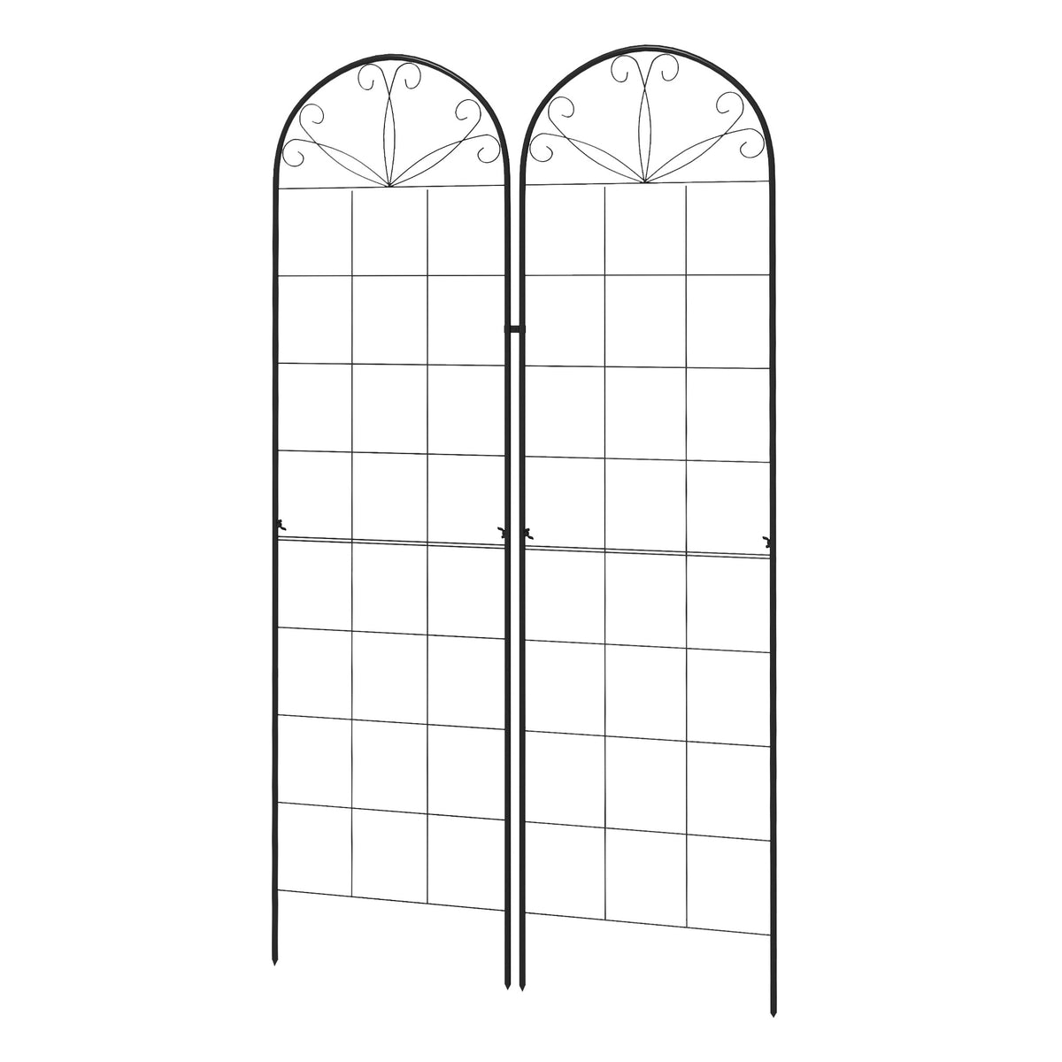 ntp12f1a02ce583a7.jpg