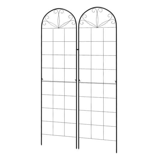 ntp12f1a02ce583a7.jpg