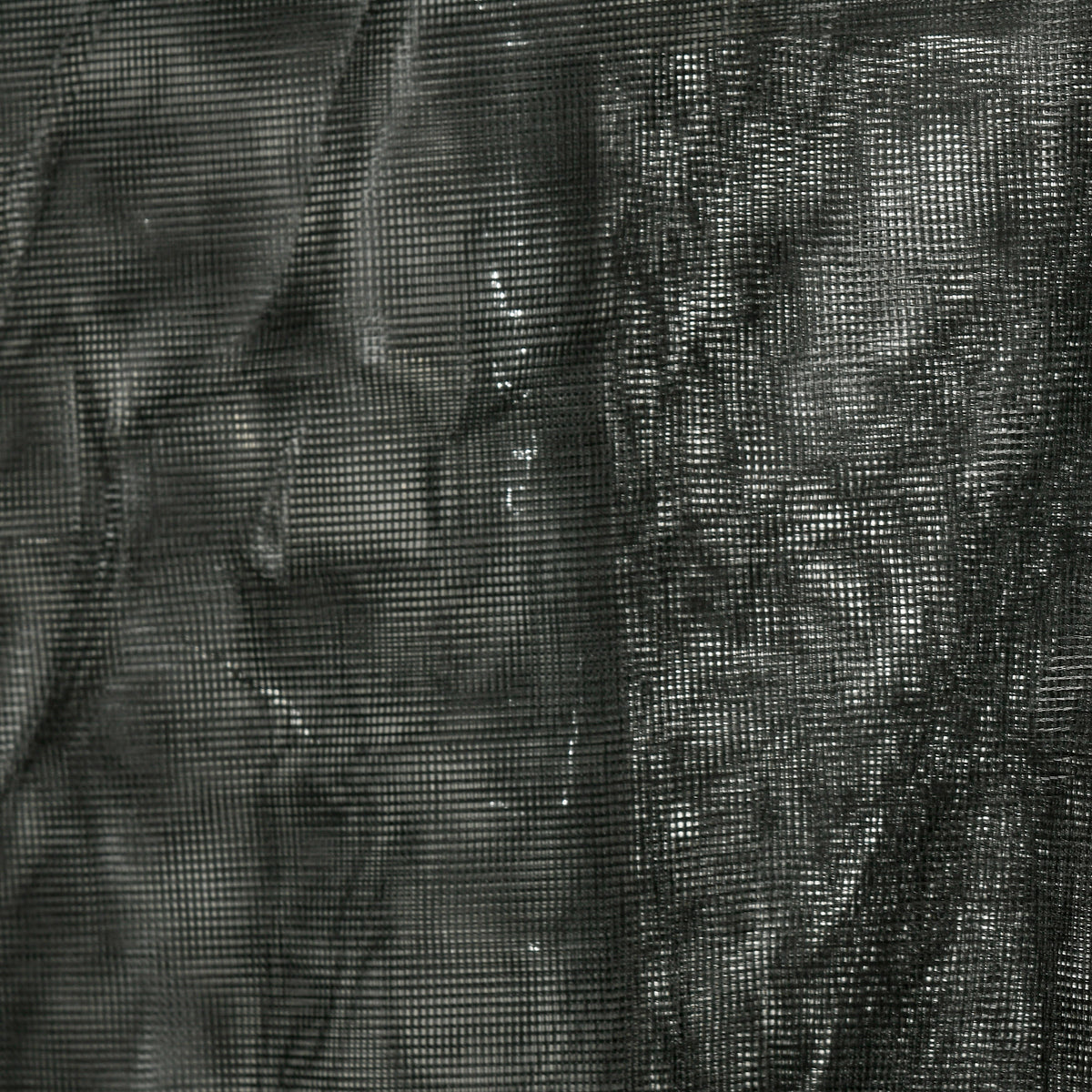 o0M9401a06b955bb4.jpg