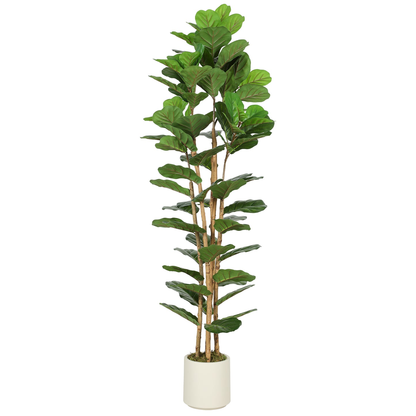 Photo of HOMCOM 180cm Artificial Fiddle Leaf Fig Tree - Green in Green colour on a white background
