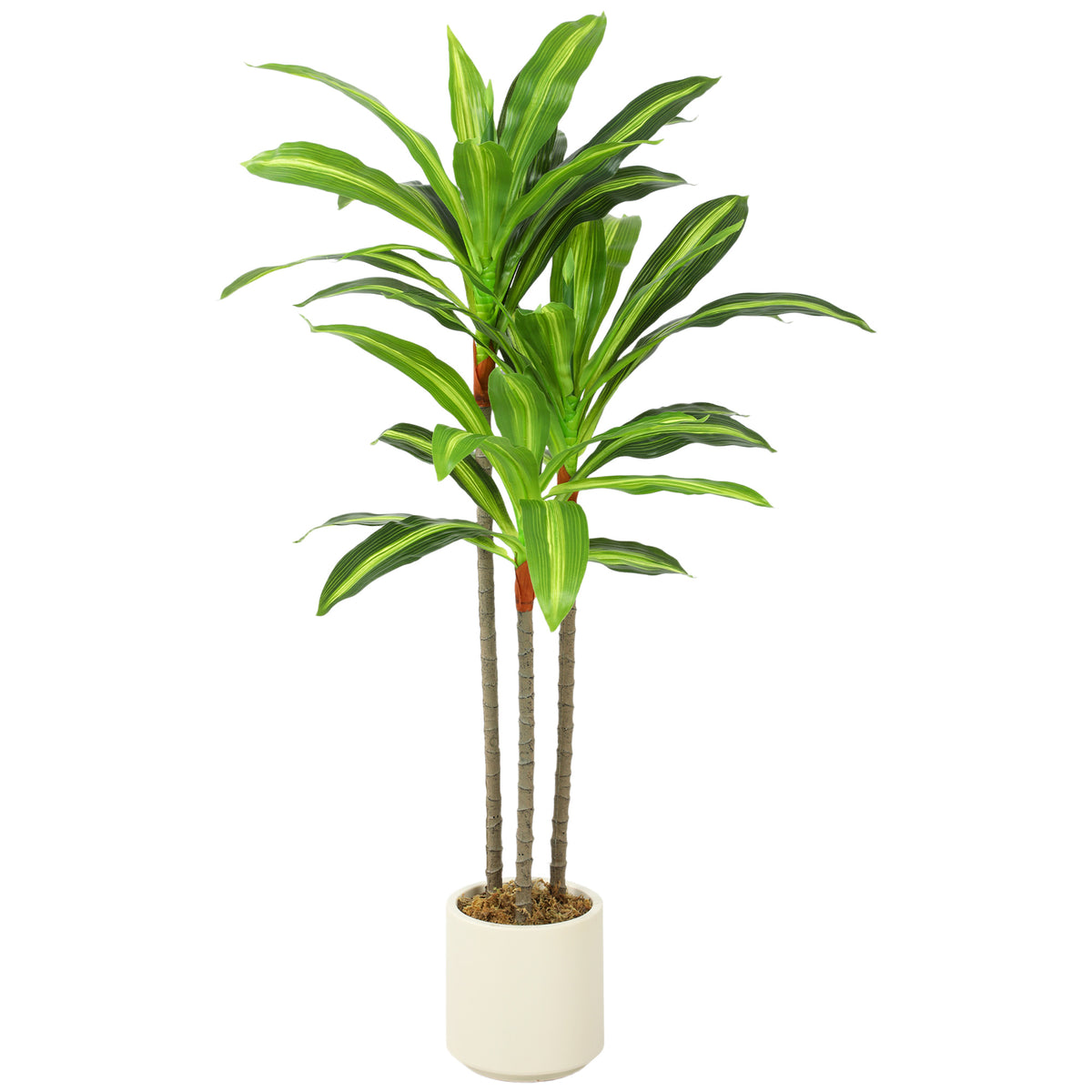 Photo of HOMCOM 90cm Lifelike Fake Tree, Artificial Dracaena Tree with Bendable Trunks, Green in Green colour on a white background