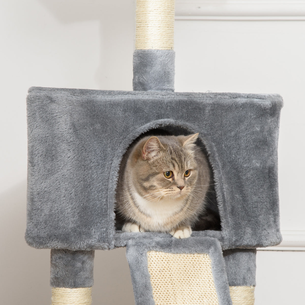 Grey cat tree condo with an arched entrance and scratching ramp, shown with a cat inside
