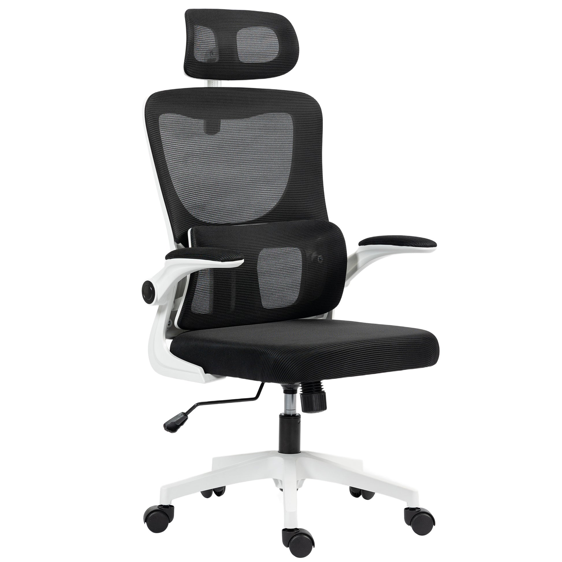 Photo of Vinsetto Ergonomic Office Chair, High Back Mesh Computer Desk Chair with Adjustable Headrest and Lumbar Support, Rotatable Armrests, Tilt Function for Home Office, Black in Black colour on a white background