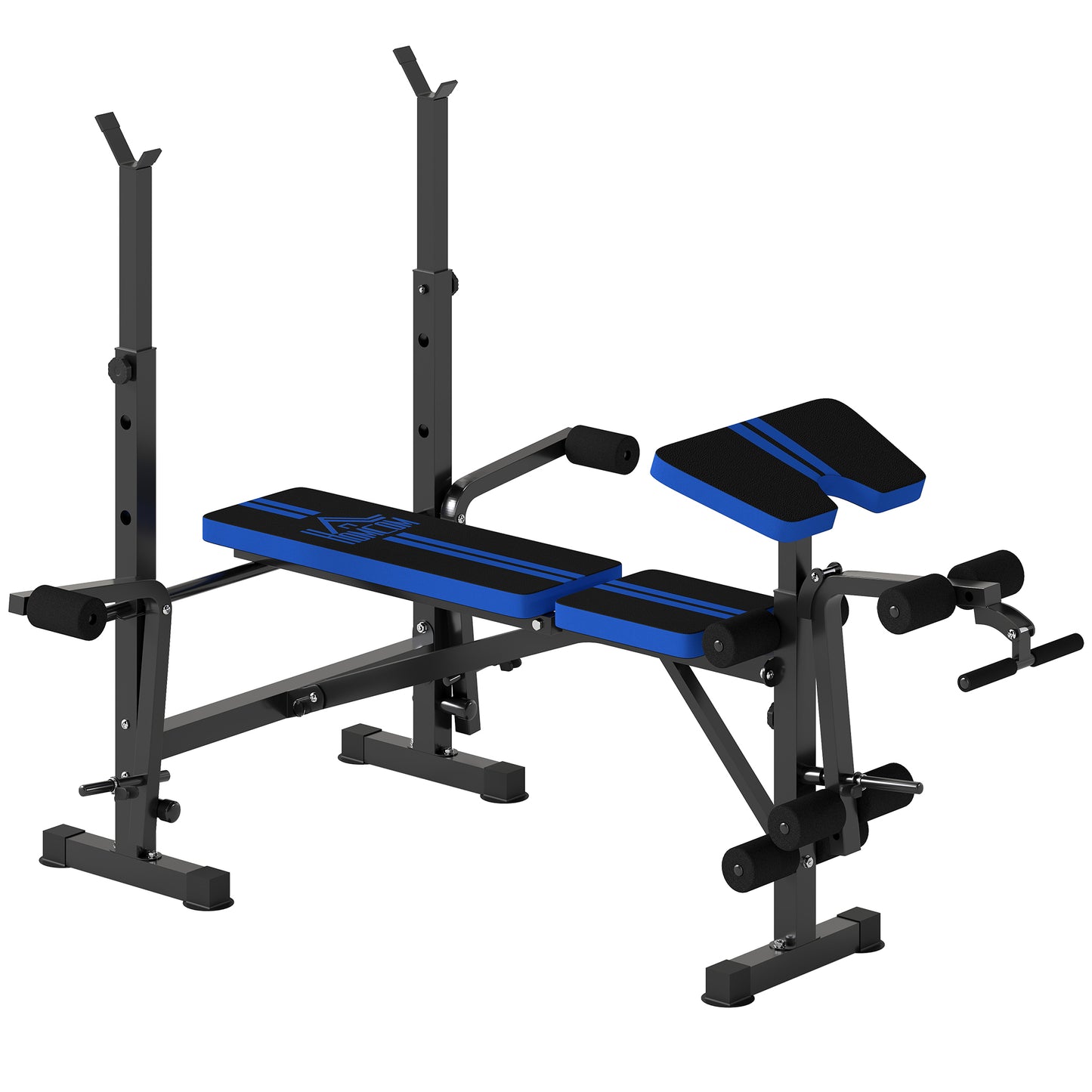 Photo of HOMCOM Adjustable Weight Bench with Leg Extension, Barbell Rack, Preacher Curl Pad, Butterfly, Multi-Function Home Gym Bench for Strength Training, Blue in Blue colour on a white background