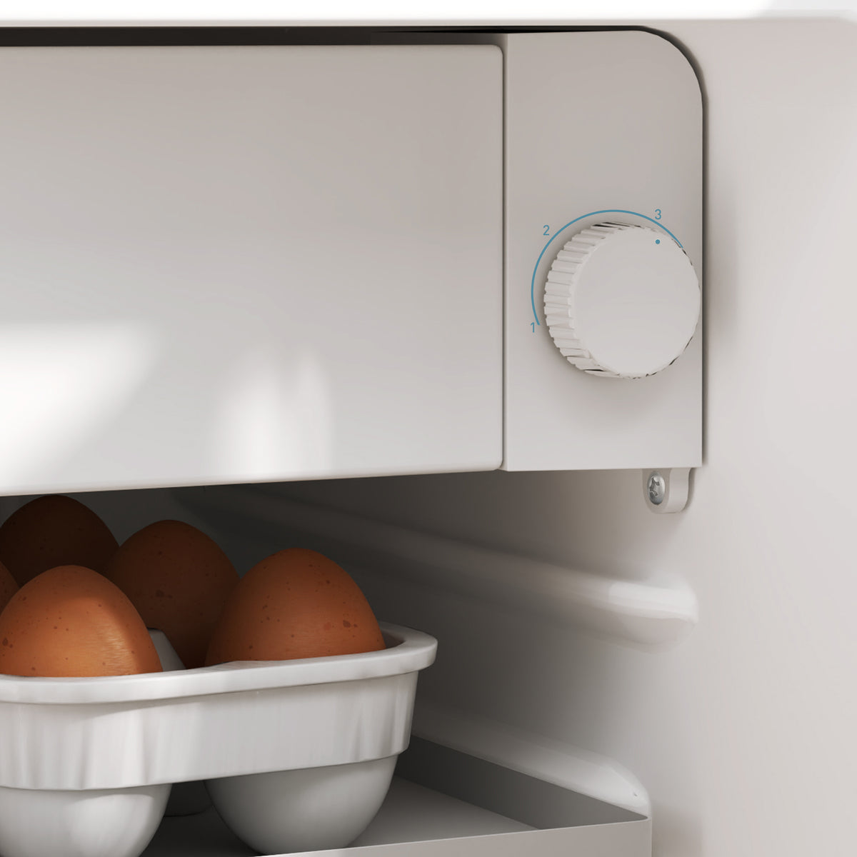 Fridge interior temperature dial beside an egg tray