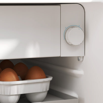 Fridge interior temperature dial beside an egg tray