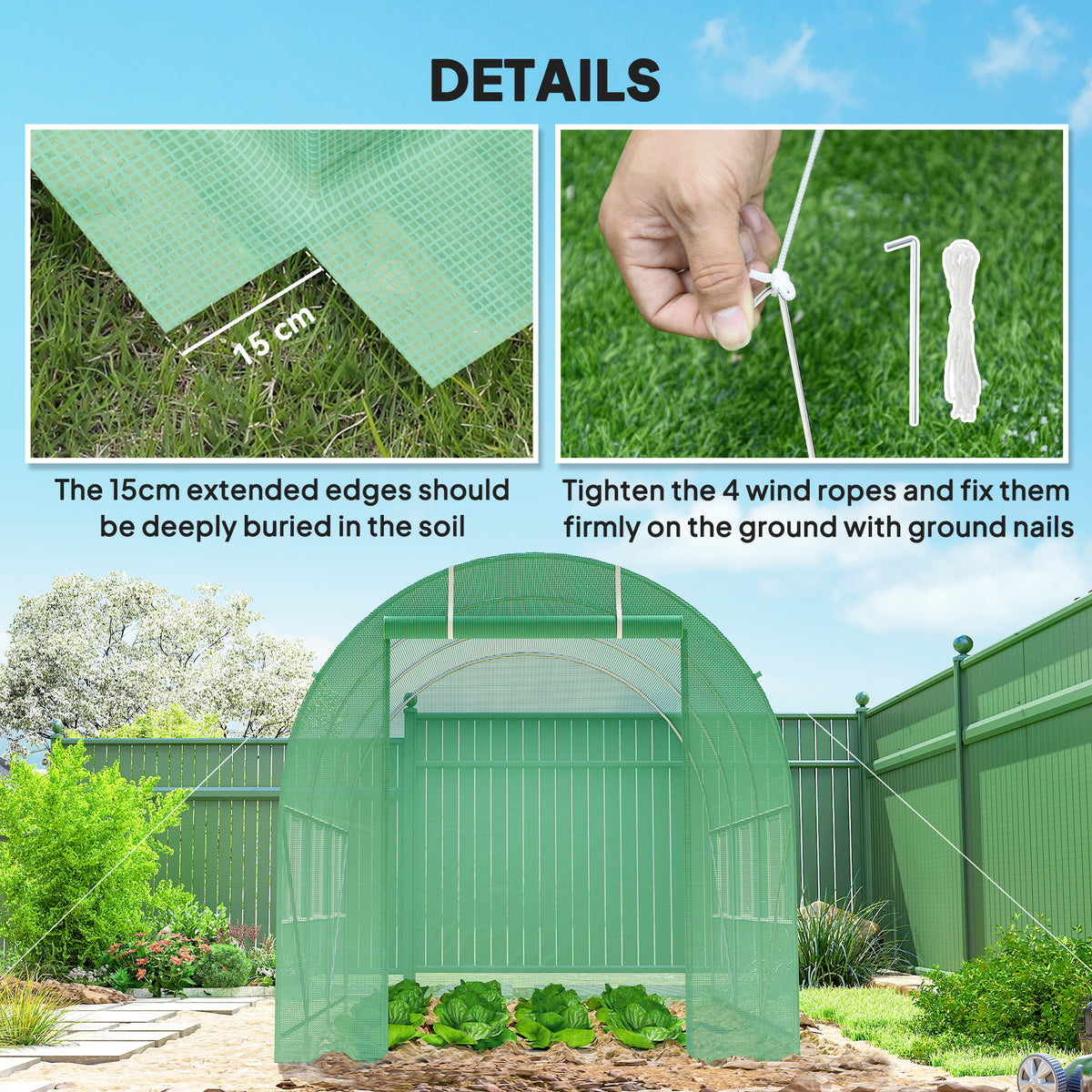 Green polytunnel greenhouse with extended cover edges, anchoring ropes and front entrance