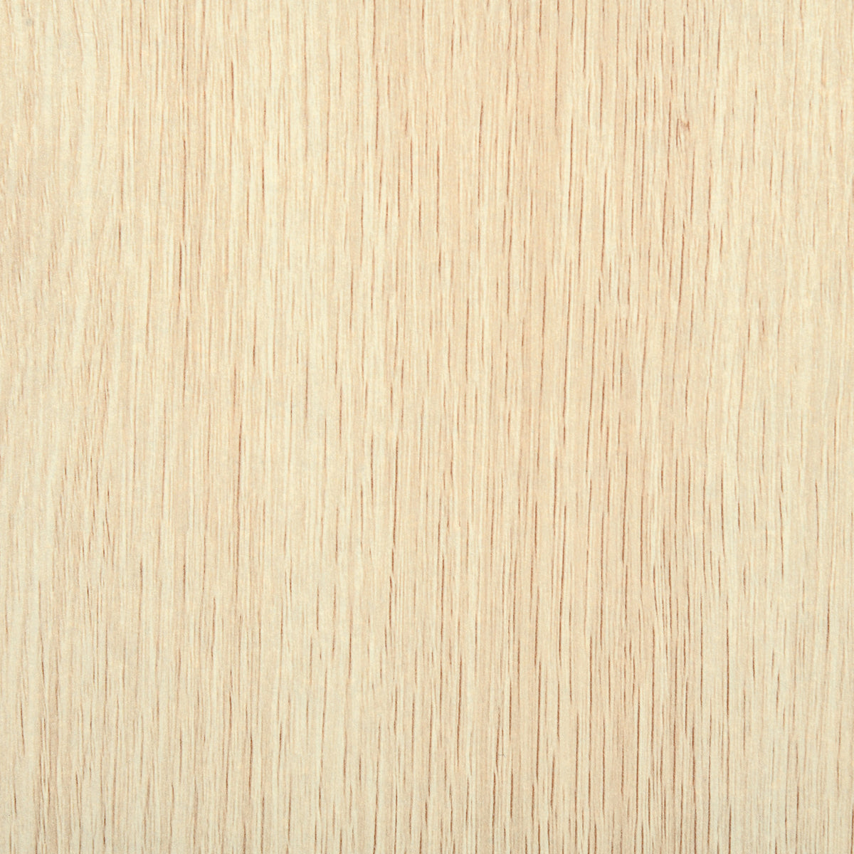 v888ec1a03d343fc7.jpg