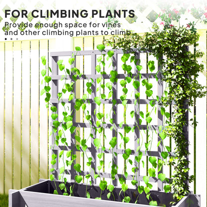 Grey raised planter and trellis supporting climbing vines