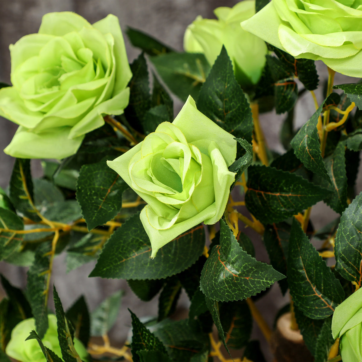 Close-up of lime-green faux roses and dark green leaves